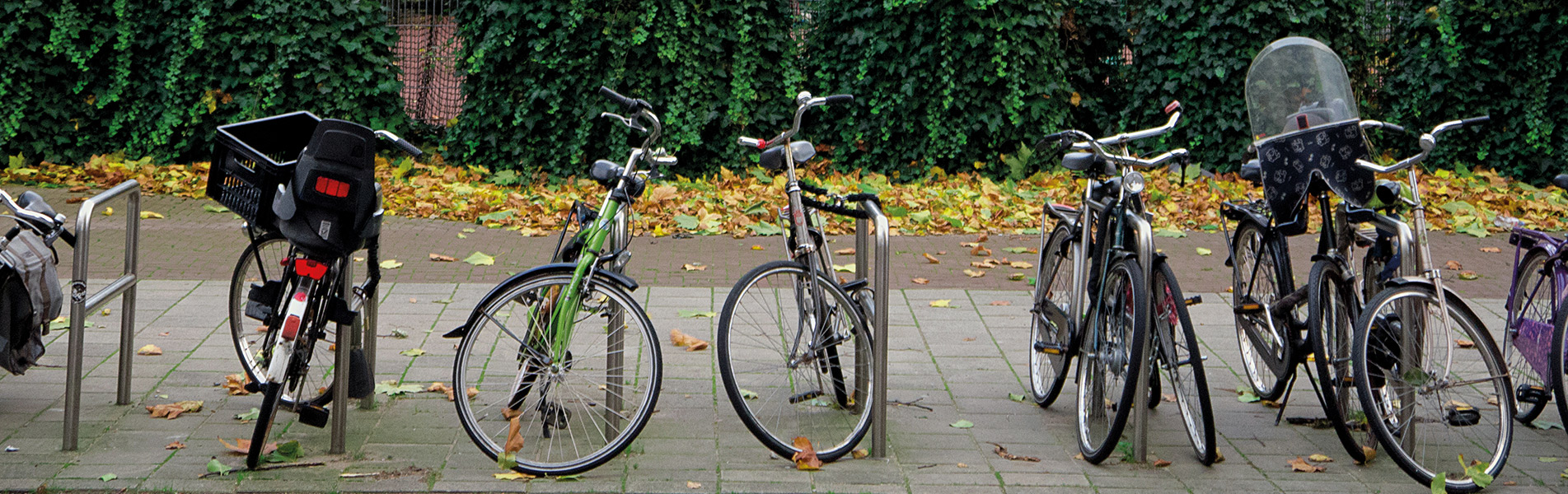 Parked bicycles